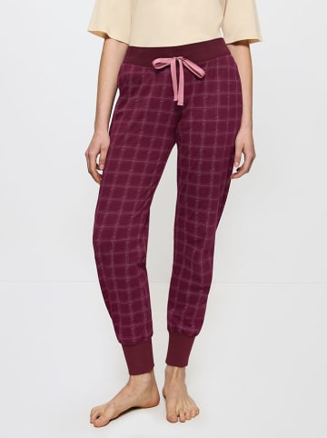 Triumph Sweathose in Bordeaux