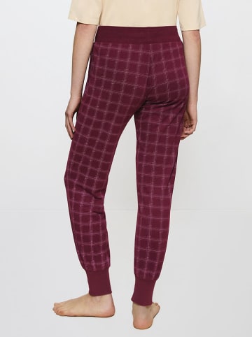 Triumph Sweathose in Bordeaux
