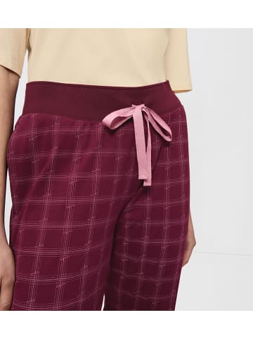 Triumph Sweathose in Bordeaux