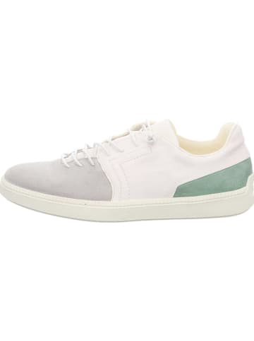 Think! Leren sneakers grijs/groen/wit