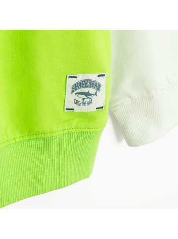 COOL CLUB Bluza w kolorze zielono-białym
