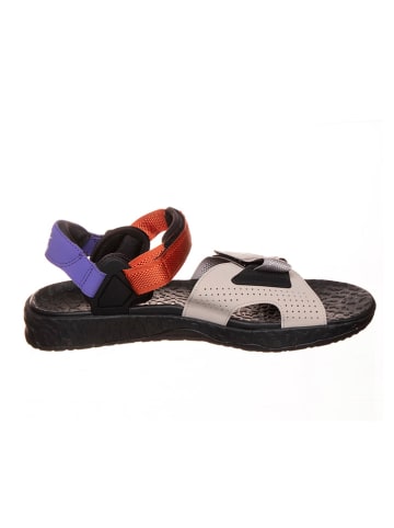 Nike Wandelsandalen "ACG Air Deschutz+" meerkleurig