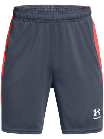 Under Armour Funktionsshorts in Grau