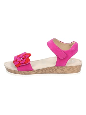 Ara Shoes Leder-Sandaletten in Pink