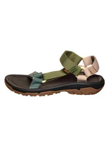 Teva Sandalen "Hurricane XLT2" in Grün/ Grau/ Creme