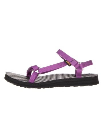 Teva Trekkingsandalen in Lila