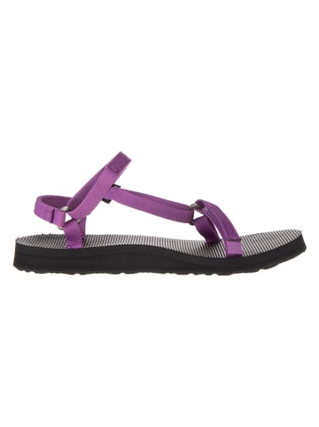 Teva Trekkingsandalen in Lila