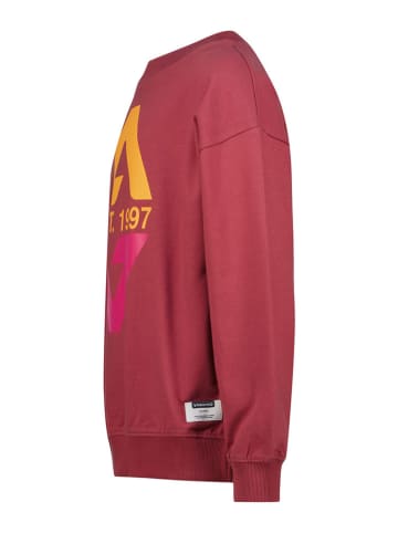 Vingino Sweatshirt rood