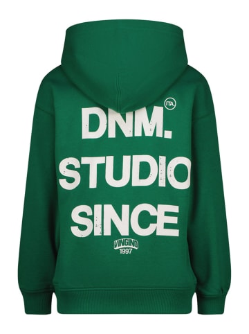 Vingino Hoodie in Grün