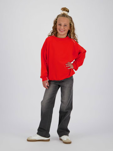 Vingino Jeans - Wide leg - in Anthrazit