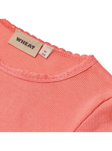 Wheat Longsleeve "Reese" in Rot