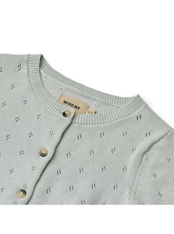 Wheat Cardigan "Maia" in Hellblau