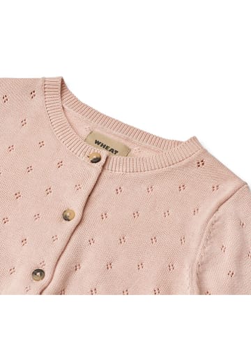 Wheat Cardigan "Maia" in Rosa