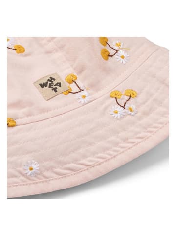 Wheat Sonnenhut "Alec" in Rosa