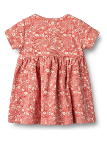 Wheat Kleid "Nova" in Orange/ Creme