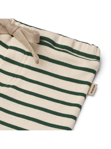 Wheat Sweatbroek "Manfred" beige/groen