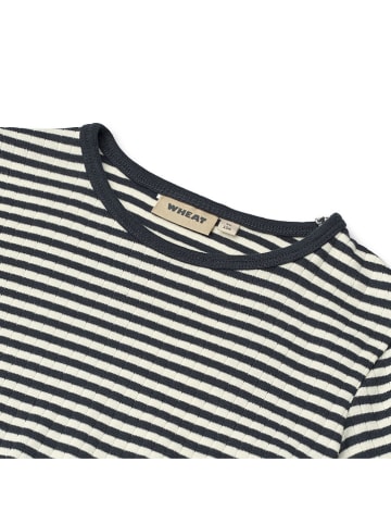 Wheat Longsleeve "Stig" in Hellblau/ Schwarz