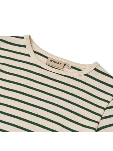 Wheat Longsleeve "Stig" in Beige/ Grün