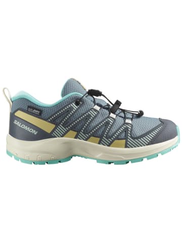 SALOMON Wandelschoenen "XA Pro V8" blauw