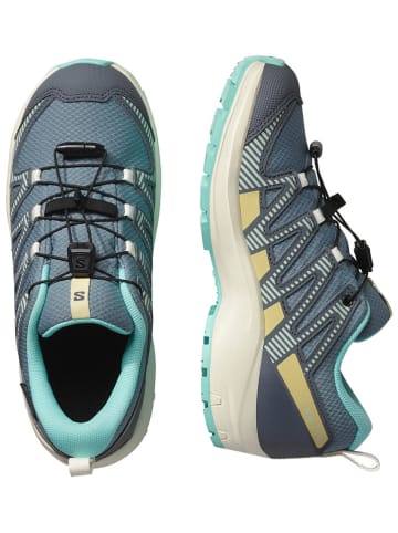 SALOMON Wandelschoenen "XA Pro V8" blauw
