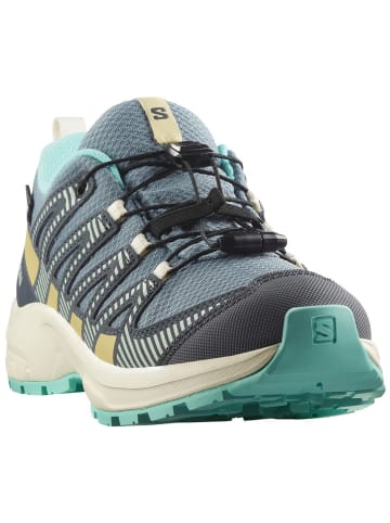 SALOMON Wandelschoenen "XA Pro V8" blauw