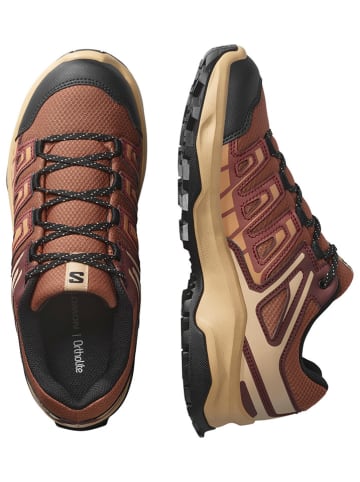 SALOMON Wandelboots "Extegra" rood