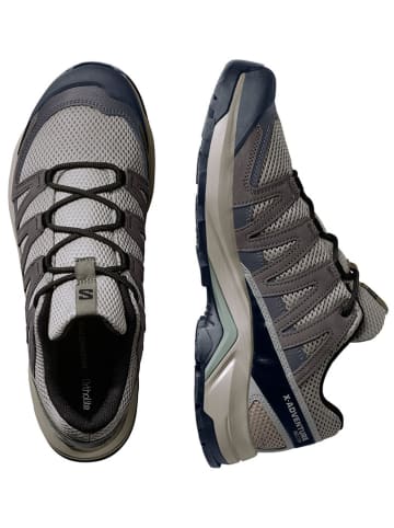 SALOMON Wanderschuhe "X-Adventure Recon" in Grau