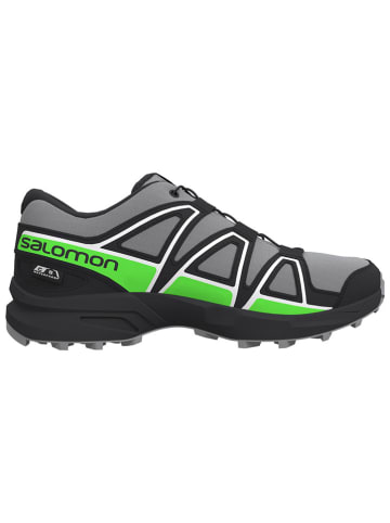 SALOMON Wanderschuhe "Speedcross" in Grau