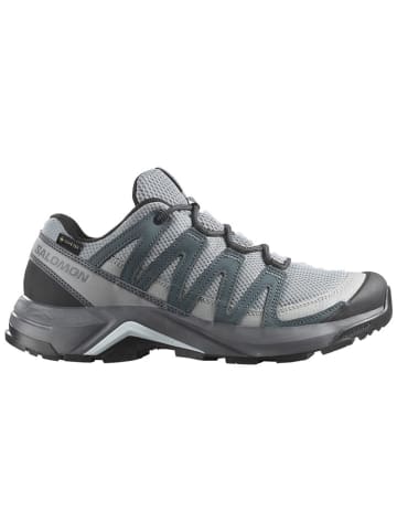 SALOMON Wanderschuhe "X-Adventure Recon GTX" in Grau
