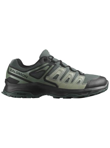 SALOMON Wandelschoenen "Extegra" groen