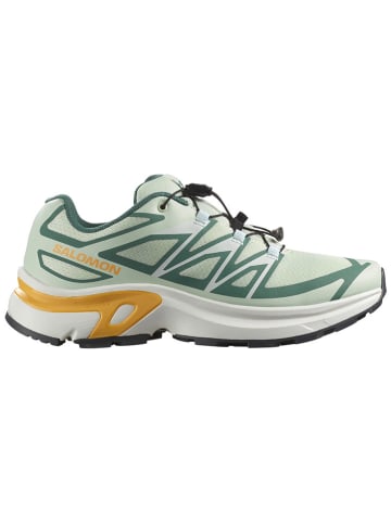 SALOMON Buty turystyczne "XT-Evr" w kolorze zielonym