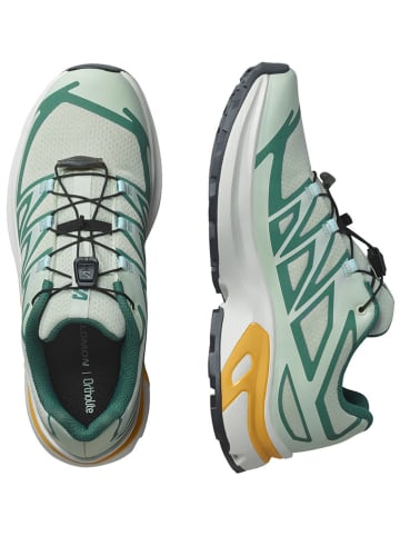 SALOMON Buty turystyczne "XT-Evr" w kolorze zielonym