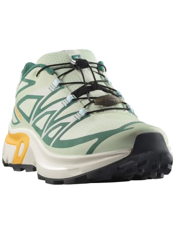 SALOMON Buty turystyczne "XT-Evr" w kolorze zielonym