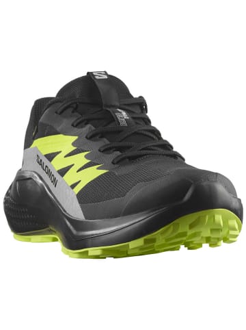 SALOMON Wanderschuhe "Alphaglide GTX" in Schwarz