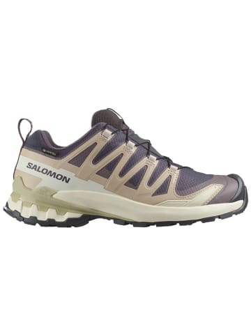 SALOMON Buty "XA Pro 3D V9 GTX" w kolorze beżowo-szarym do biegania