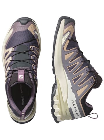 SALOMON Trailrunningschuhe "XA Pro 3D V9 GTX" in Beige/ Grau