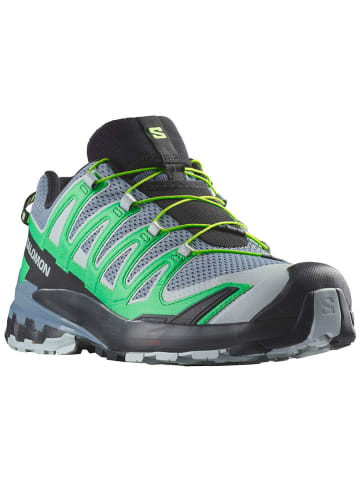 SALOMON Buty "XA Pro 3D V9" w kolorze zielono-szarym do biegania