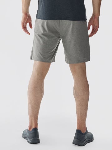 4F Trainingsshorts in Grau