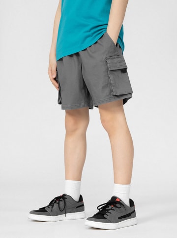 4F Shorts in Grau
