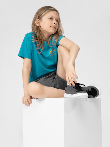 4F Shorts in Grau