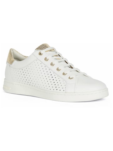 Geox Sneakers "Jaysen" in Weiß/ Gold