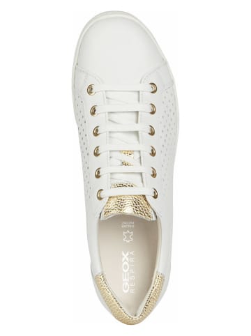 Geox Sneakers "Jaysen" in Weiß/ Gold