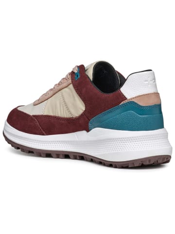 Geox Leren sneakers "Pg1X B Abx" meerkleurig