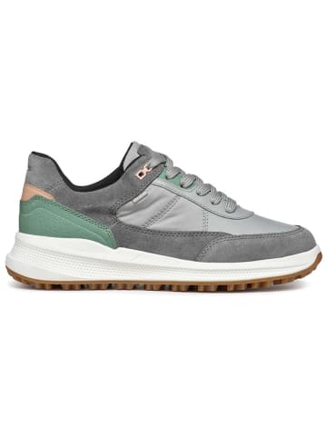 Geox Leder-Sneakers "Pg1X B Abx" in Grau/ Grün