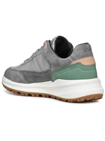 Geox Leder-Sneakers "Pg1X B Abx" in Grau/ Grün