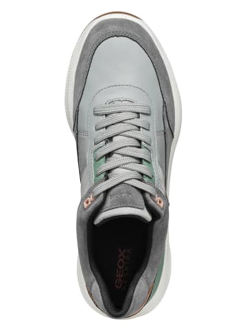 Geox Leder-Sneakers "Pg1X B Abx" in Grau/ Grün