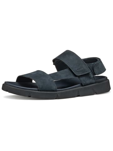 Geox Leder-Sandalen "Xand 2S" in Dunkelblau