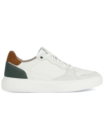 Geox Leder-Sneakers "Deiven"  in Weiß