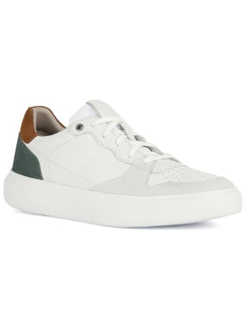 Geox Leder-Sneakers "Deiven"  in Weiß