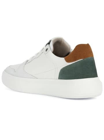 Geox Leder-Sneakers "Deiven"  in Weiß